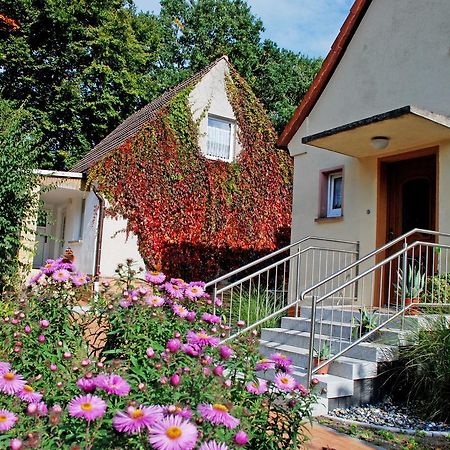 Ferienwohnungen Im Ostseebad Baabe Ngoại thất bức ảnh